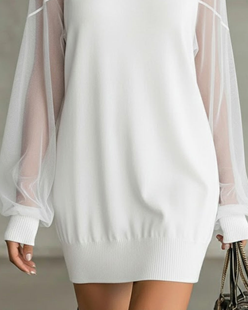 Yenaya | Knit Mini Dress with Sheer Sleeves