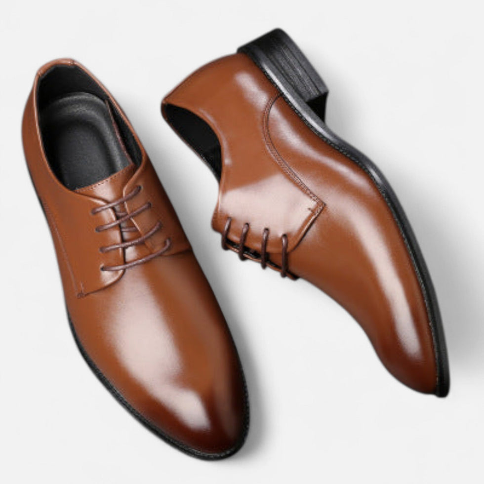 Alexandre | Lace-Up Dress Shoes in Brown and Black