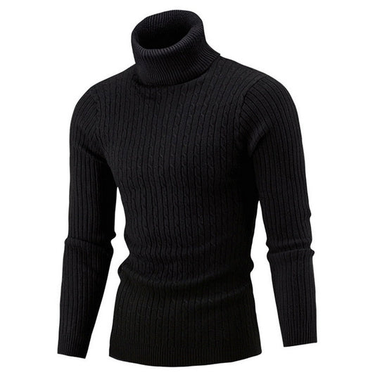 Wijnand | Sweater With Cable Knit and Ribbed Turtleneck