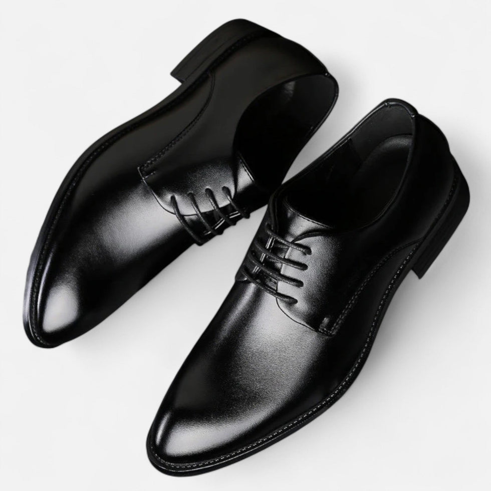 Alexandre | Lace-Up Dress Shoes in Brown and Black